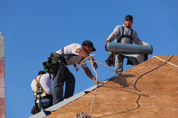 Best Storm Damage Roof Repair  in South St Paul, MN